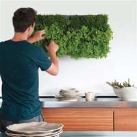 Elevate Your Indoor Garden