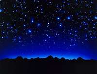 Gift a Star to Someone Special