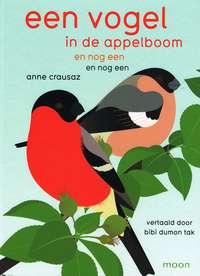 A journey through seasons with colorful birds