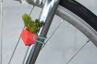 Bloom on the Go