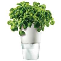 Self-Watering Herb Pot