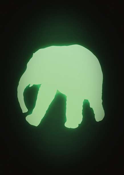 Illuminate their world with glowing fun