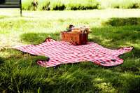 Cozy Bear Picnic Blanket