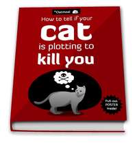 A funny look at your scheming feline