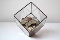 Artful Glass Cube for Succulents