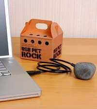 The Original Pet Rock Surprise