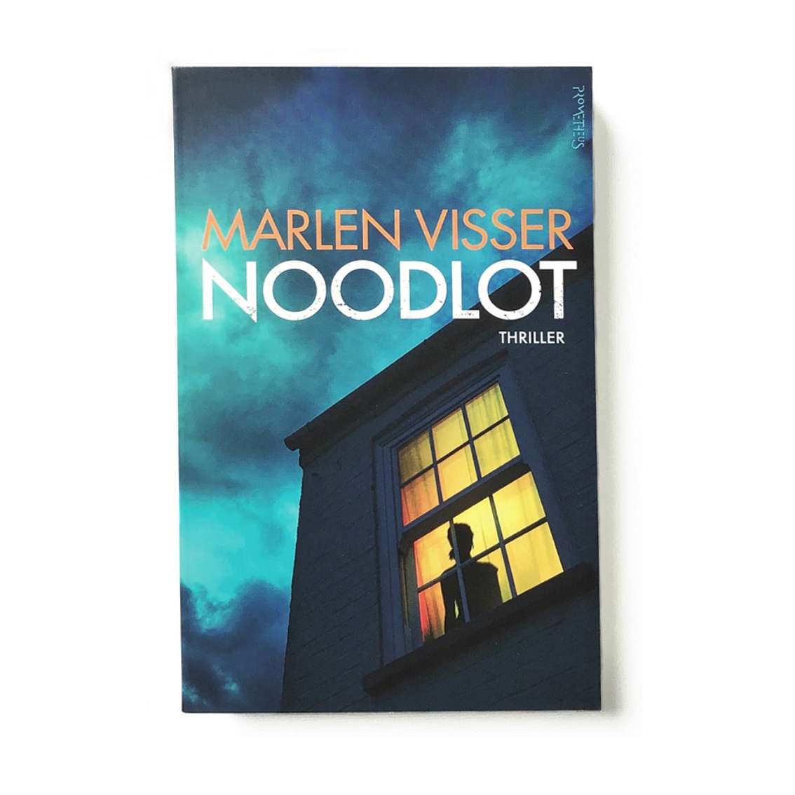 Get lost in this thrilling mystery