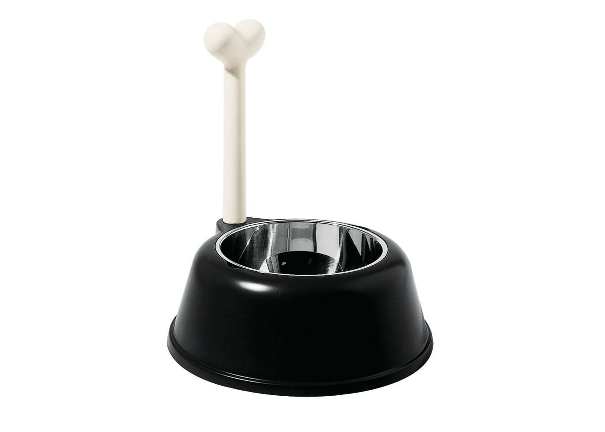 Chic dining for your furry friend